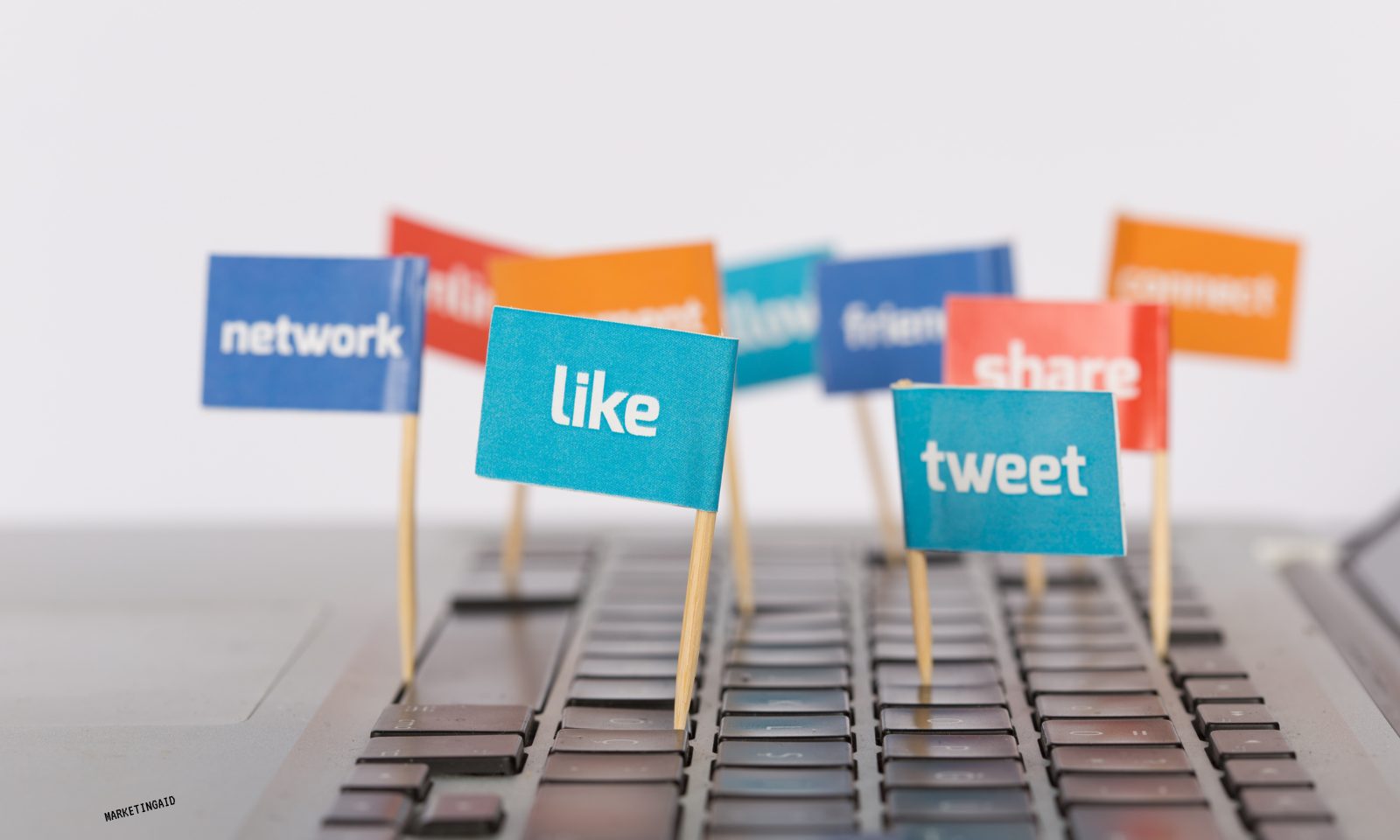 TikTok vs Instagram vs Facebook: What Works for Jacksonville Businesses in 2025? 3 TikTok Instagram or Facebook Where to Focus on 2025 Blog Banner